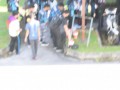 Tn d72 5685